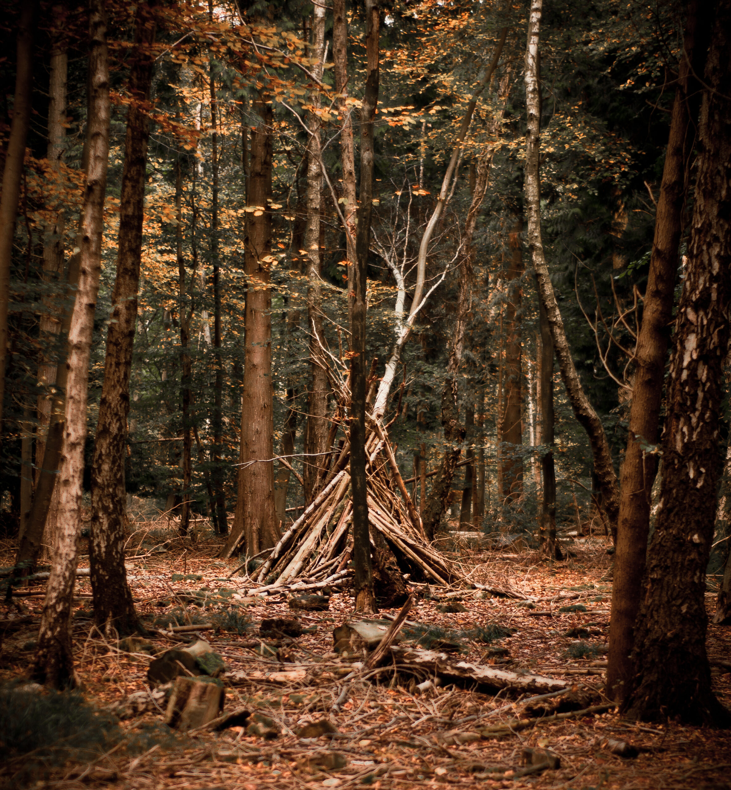 What are the essential equipment for the bivouac?